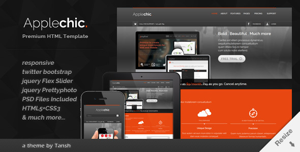 Product preview supplied for Applechic Responsive Software HTML Template