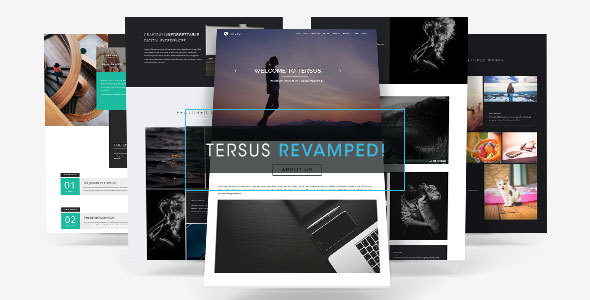 Tersus - Business Portfolio Parallax Muse Template product preview