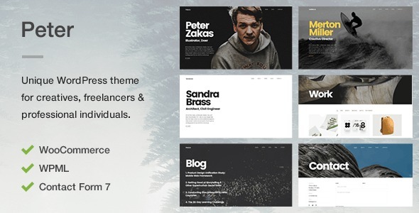 Peter - A Unique Portfolio Theme for Creatives, Freelancers & Professional Individuals listing image