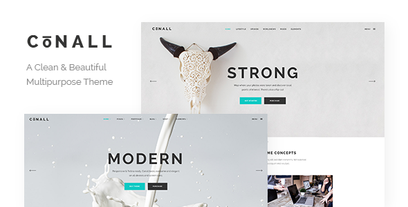Conall - Clean Multipurpose WordPress Theme