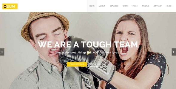 Osum - Multi-Purpose Theme powered by Jekyll