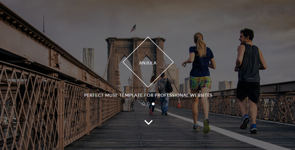 Anjula - Multi-purpose Muse Template