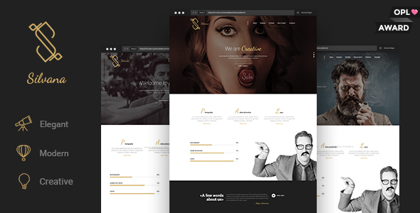 Product preview supplied for Silvana - Agency Unbounce Landing Page