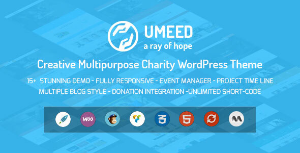 Umeed Charity WordPress Theme For Fundraising product preview
