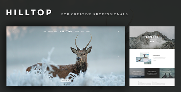 Preview image for Hilltop - PSD Template for Creative Professionals