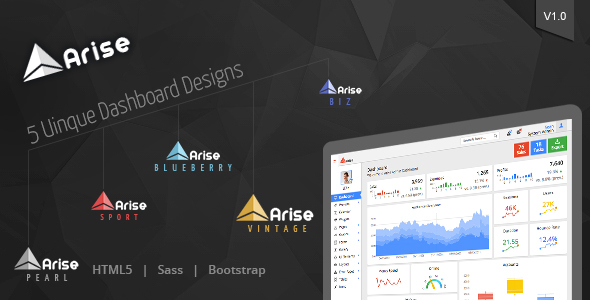 Preview image for Arise Admin Dashboard
