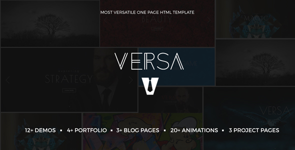 Versa | Multi-purpose One Page Responsive Template