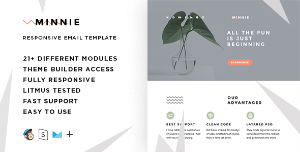 Minnie  – Responsive HTML Email + StampReady, MailChimp & CampaignMonitor compatible files listing image
