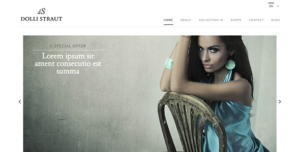 Dolli Straut - Fashion, Style & Retail product preview