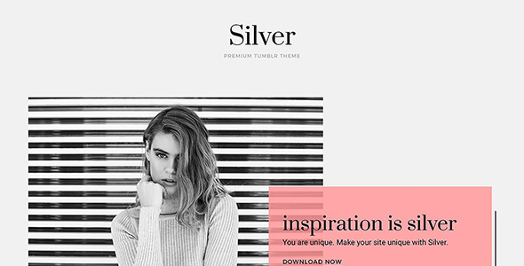 Product preview supplied for Silver Tumblr Theme