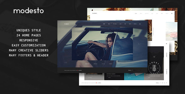 Preview image for Modesto - Power Unique Portfolio Photography And Agency Drupal Theme