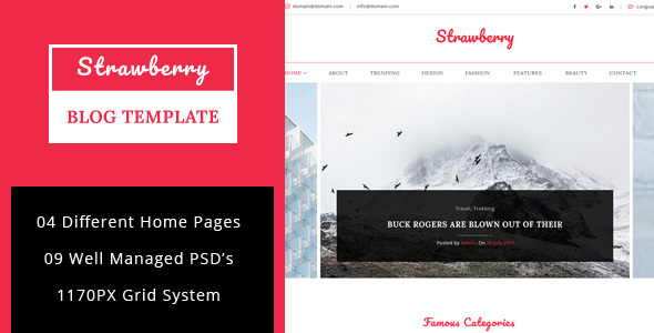 Strawberry - Minimal Blog PSD Template