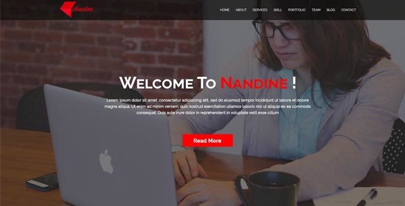 Nandine - Portfolio and blog Multi Page PSD Template