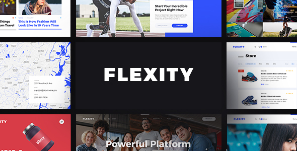 Flexity - Multi-Purpose PSD Template