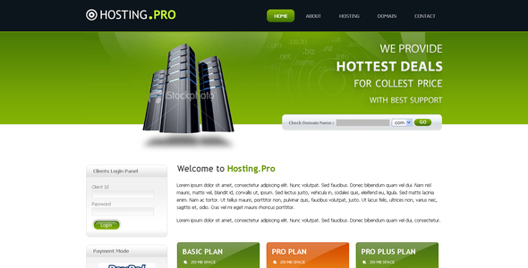 Hosting Provider