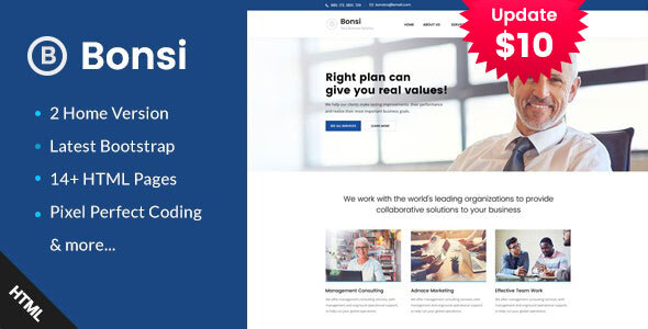 Bonsi - Business Consulting and Professional Services HTML Template listing image