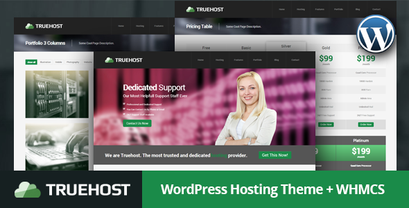 Preview image for Truehost - Responsive Hosting WordPress Theme