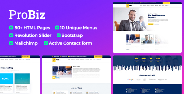 Preview image for Probiz - Responsive Business HTML Template