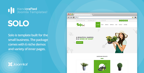 IT Solo - Gantry 5, Small Businesses Joomla Template