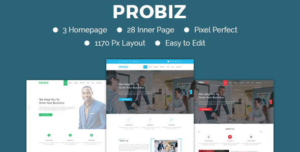 PROBIZ- Multipurpose Business Template