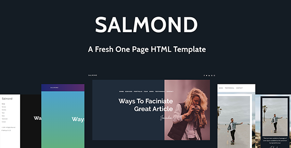 Salmond - A Fresh One Page HTML Template product preview