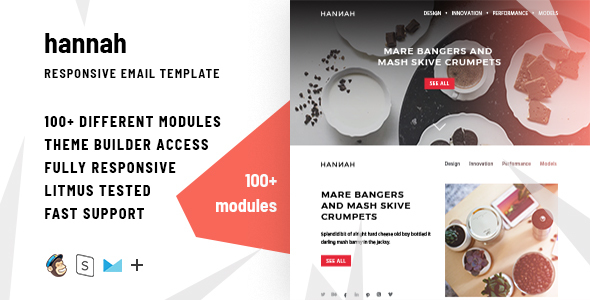 Hannah – 100+ Responsive Modules + StampReady, MailChimp and CampaignMonitor compatible files