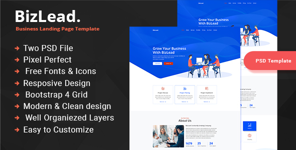 Bizlead - Business Consulting
