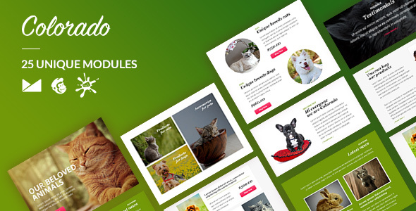 Colorado Email-Template + Online Builder