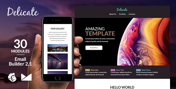 Delicate Responsive Email Template + Online Emailbuilder 2.1