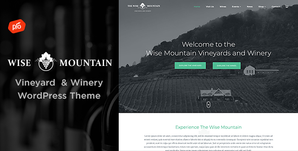 Wise Mountain - Vineyard and Winery WordPress Theme