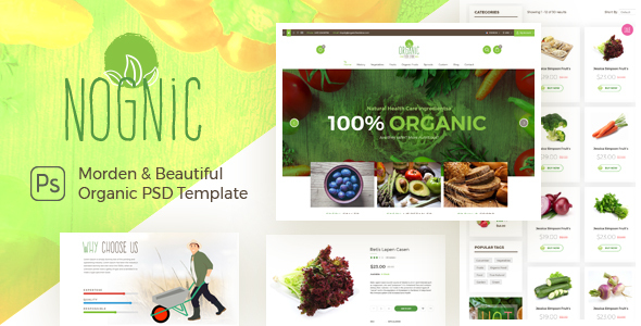 NOGNIC | Organic Food Store PSD