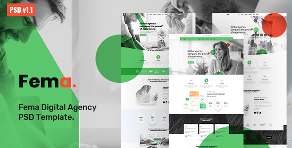 Fema - Digital Agency PSD Template