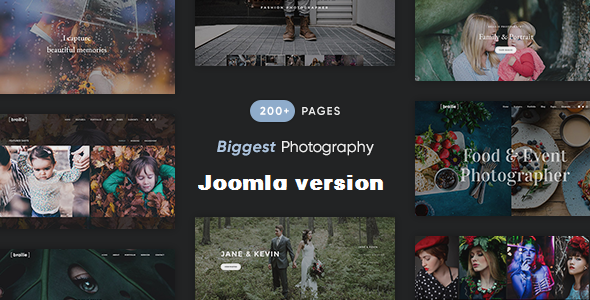 Brailie - Responsive Photography Joomla Template