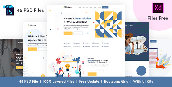 Nicksta - Multipurpose PSD Template With PSD UI Kits